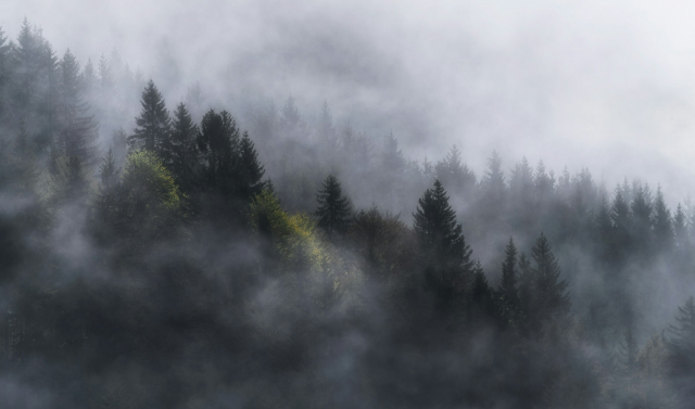 Is Earth a Living, Breathing Organism?