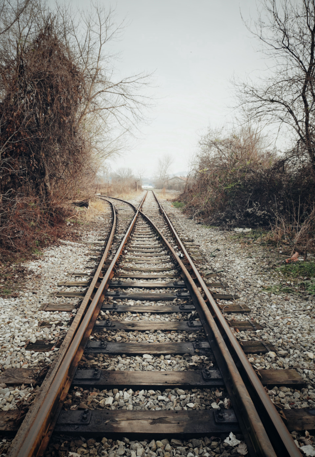 Scarcity and Choice