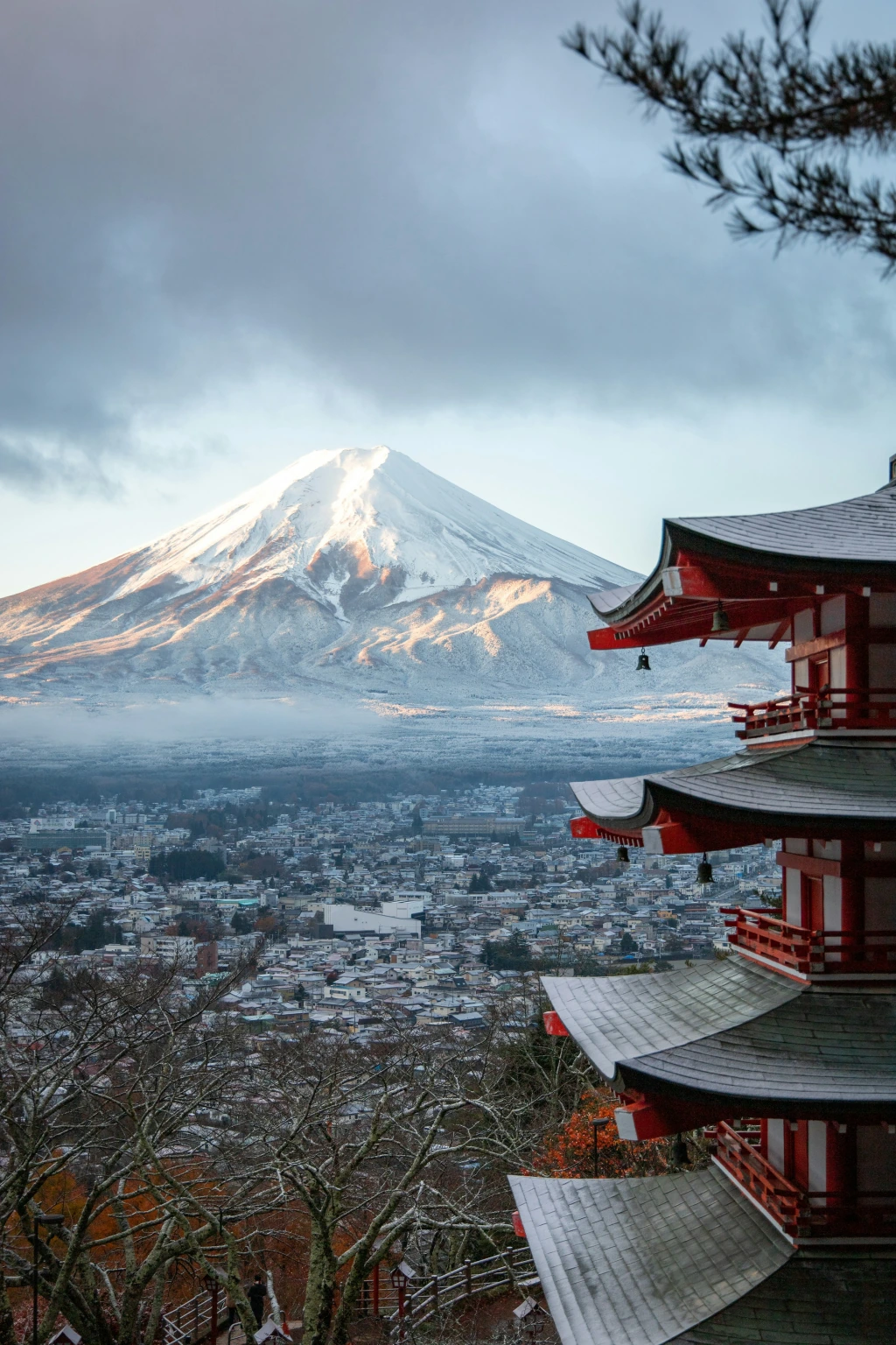 Japanese Sumo Tour