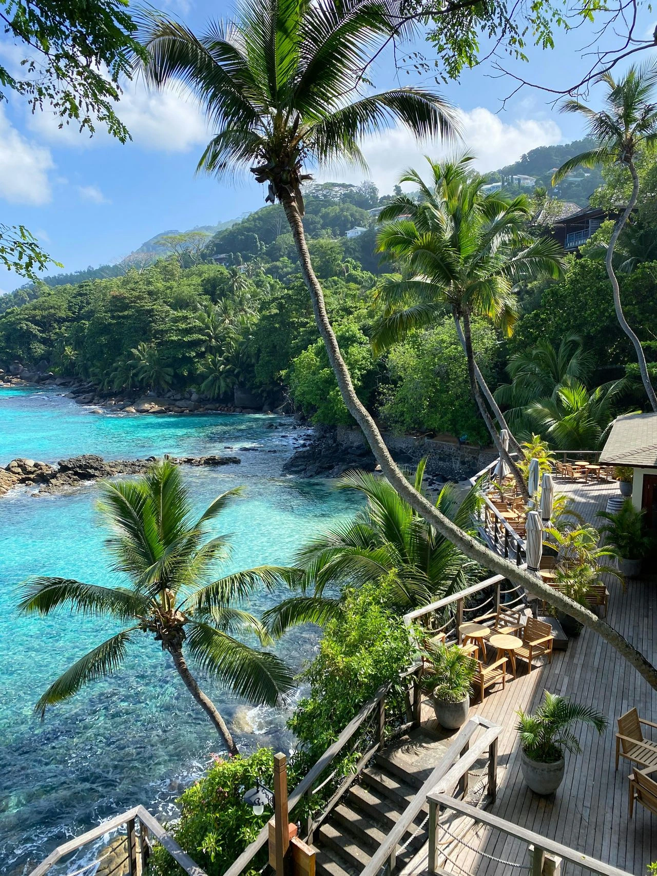 Seychelles Islands 🌴